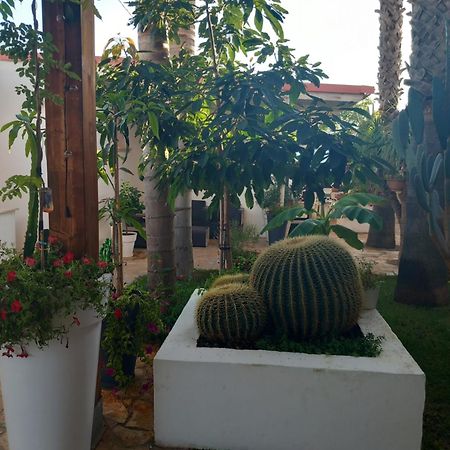 Villa Raggio Di Sole Parcheggio Privato Порто Чезарео Екстериор снимка