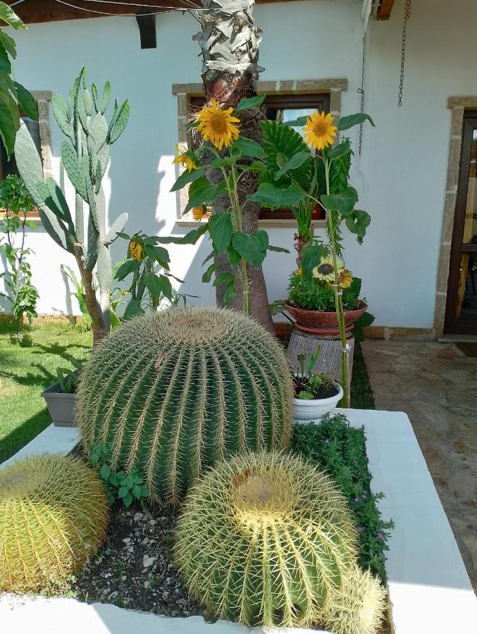 Villa Raggio Di Sole Parcheggio Privato Порто Чезарео Екстериор снимка