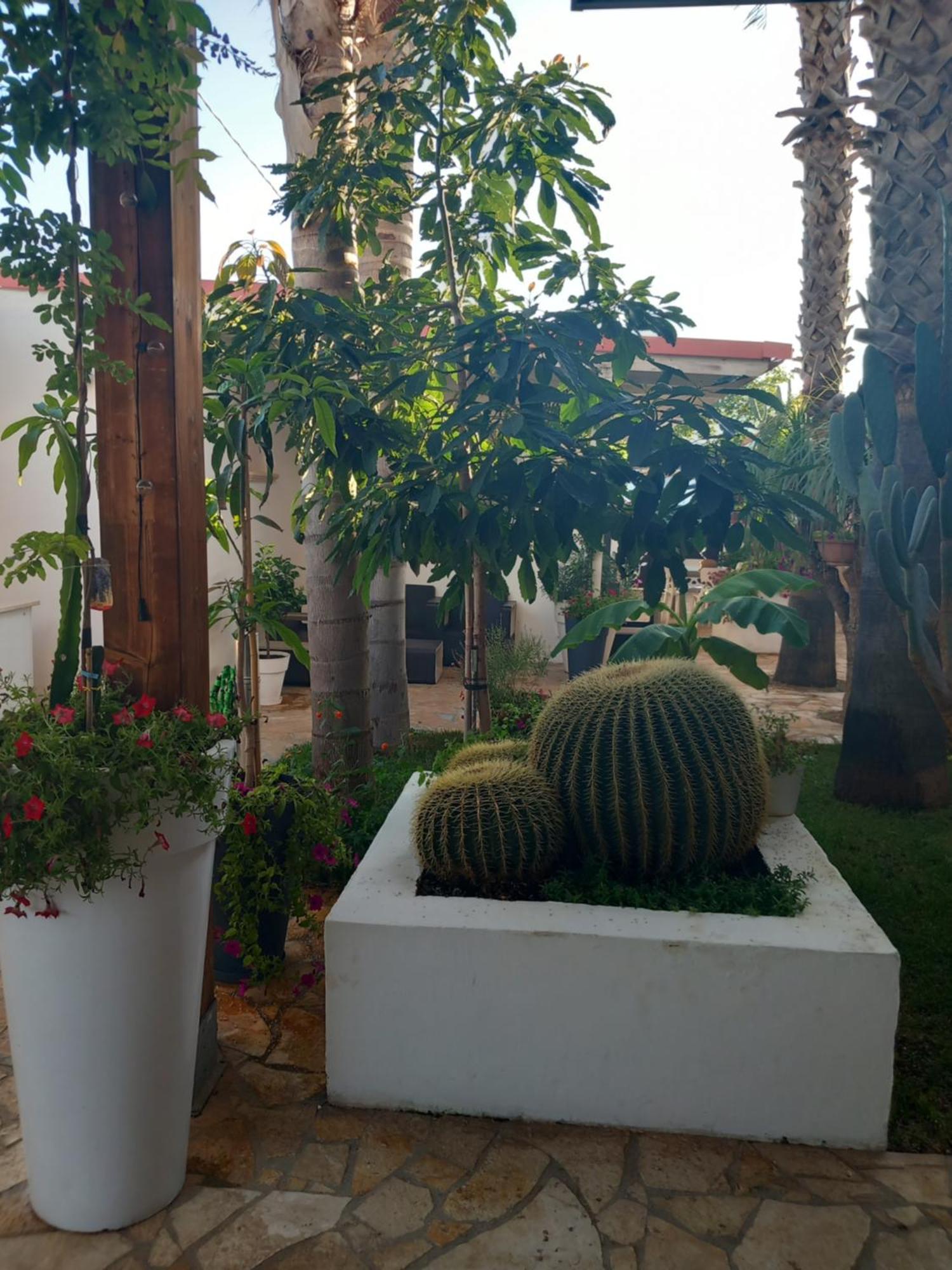 Villa Raggio Di Sole Parcheggio Privato Порто Чезарео Екстериор снимка